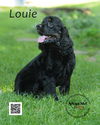 Louie