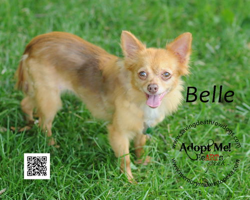 Belle