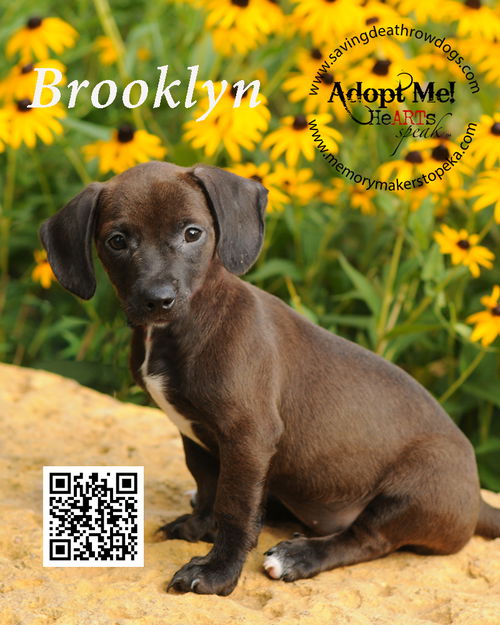 Brooklyn
