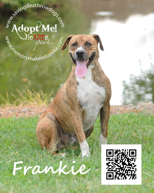 Frankie