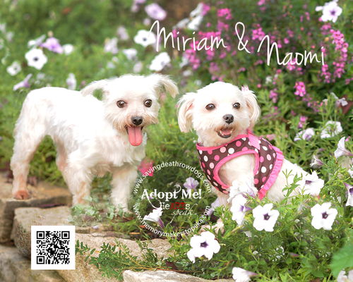 Miriam & Naomi