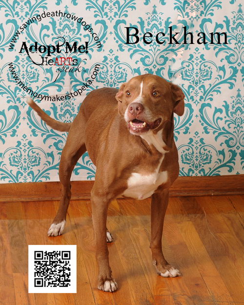 Beckham