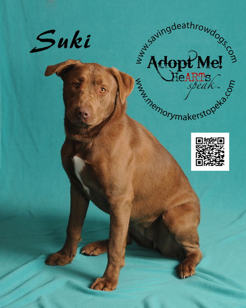 Suki