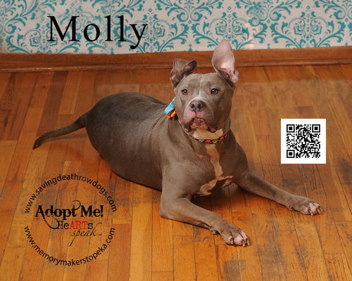 Molly