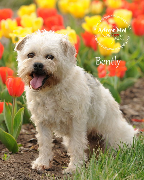 Bently