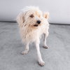 FLUFFY - Photo 2