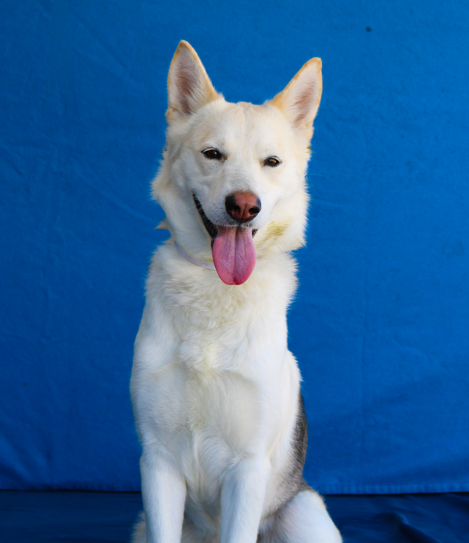 NOVA