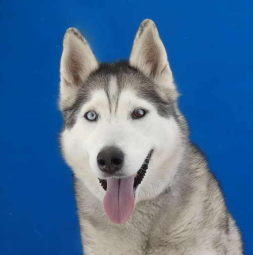KIRA