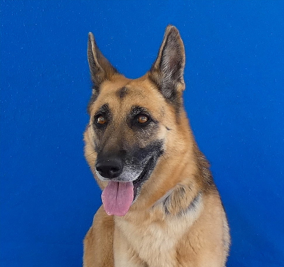 LEIA