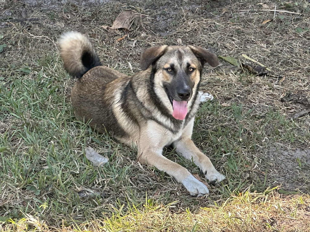 Max