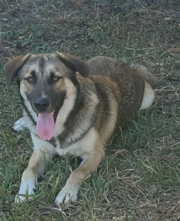 Max