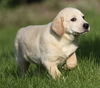 Dudley