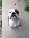 Lucy