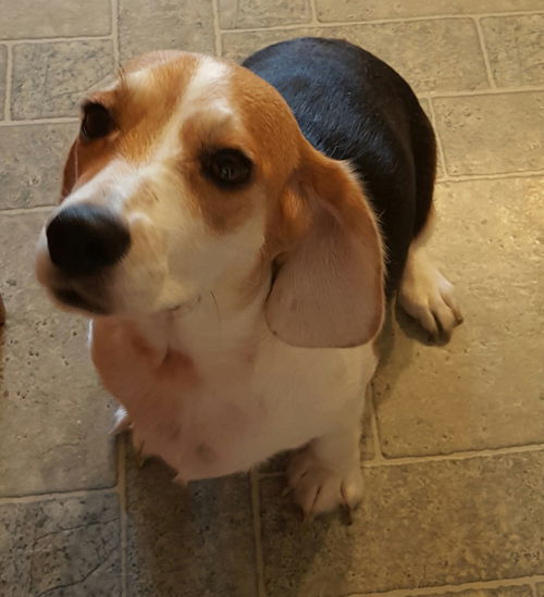 Maggie