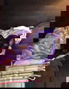 Corrine