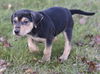 Fritz
