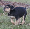 Fritz