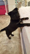 Wilma