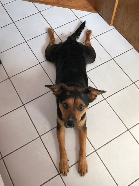 Bailey