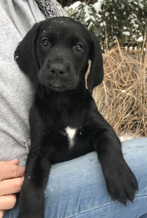 Tasha