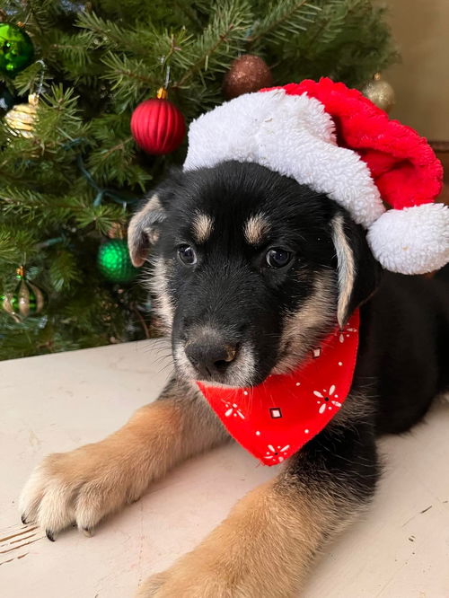 Benny
