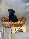 Edna
