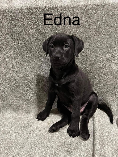 Edna