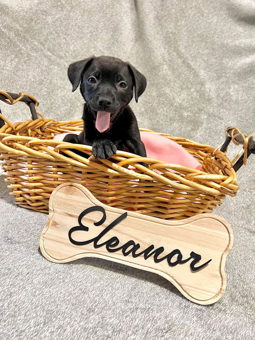 Eleanor