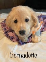 Bernadette
