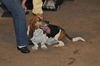 Waylon