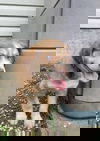 Peter
