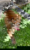 Peter