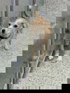 J Truffle