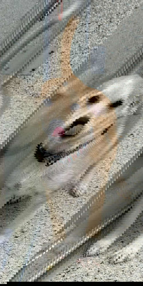 J Truffle