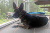 SABLE