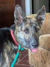 SABLE