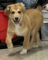 Pyr Glory