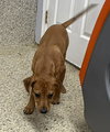 Drax - Photo 3