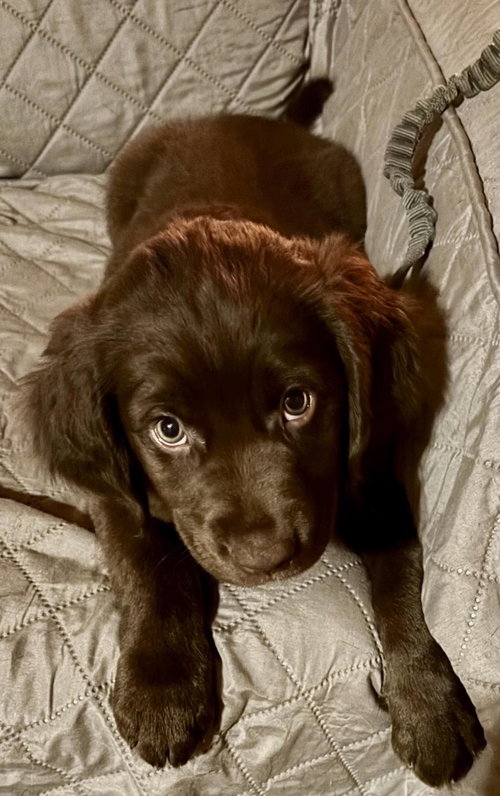 BO