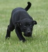 SIENNA - Photo 3