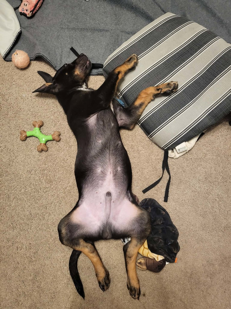 Oliver