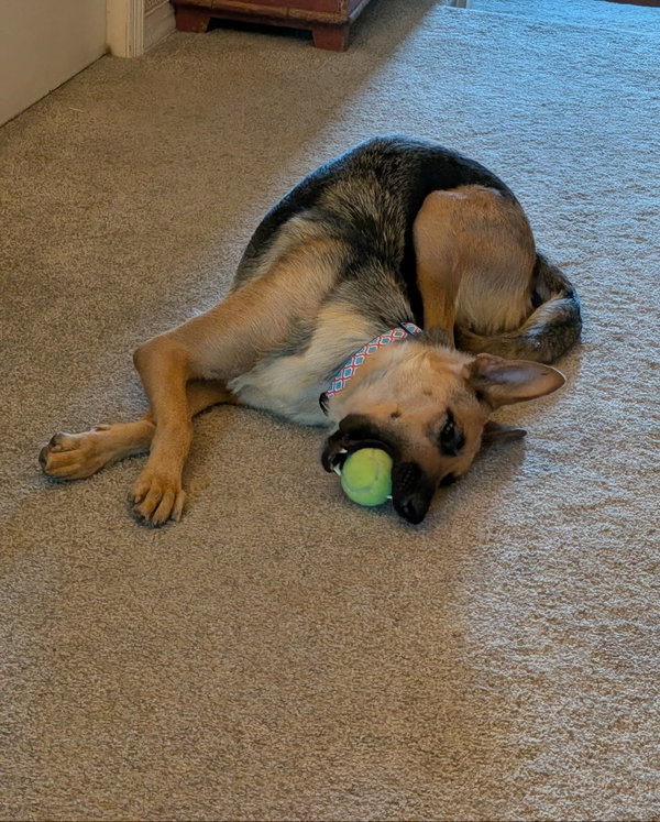 Nala