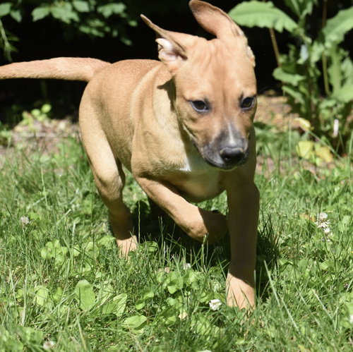 Remy photo 7