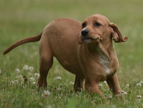 Nelly photo 3