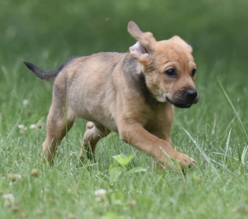 Waylon photo 3