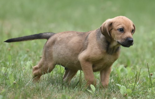 Waylon photo 9
