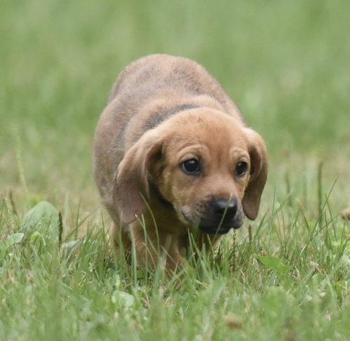 Waylon photo 14