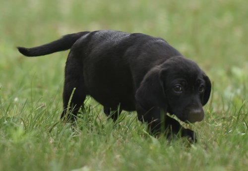 Wyatt photo 2