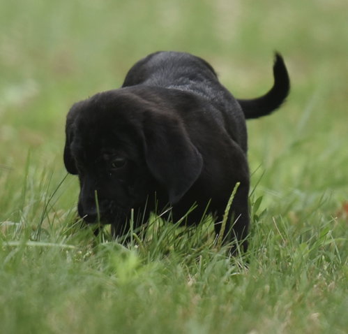 Wyatt photo 3