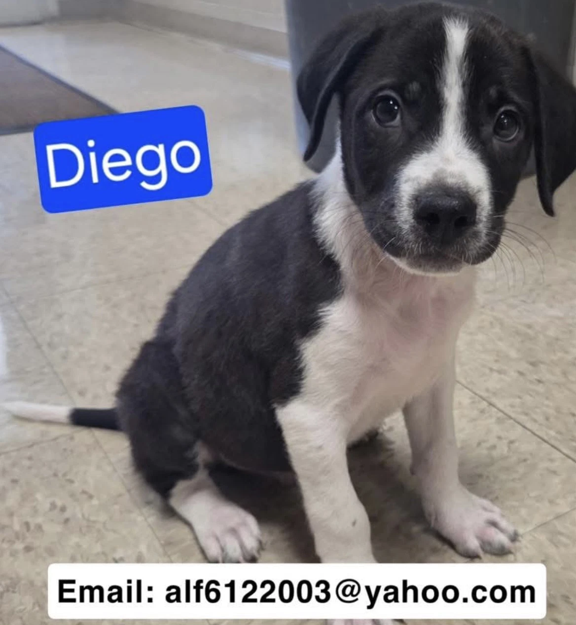Diego
